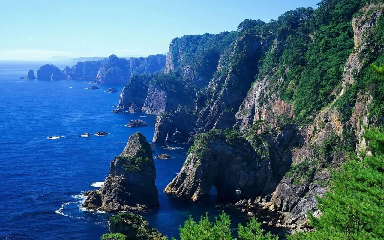 高端新型